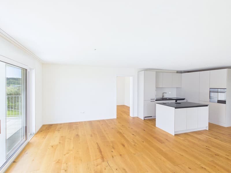 Neubauwohnung mit wunderbarer Aussicht (5)