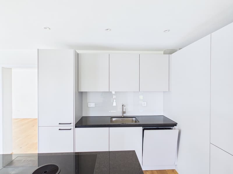 Neubauwohnung mit wunderbarer Aussicht (6)