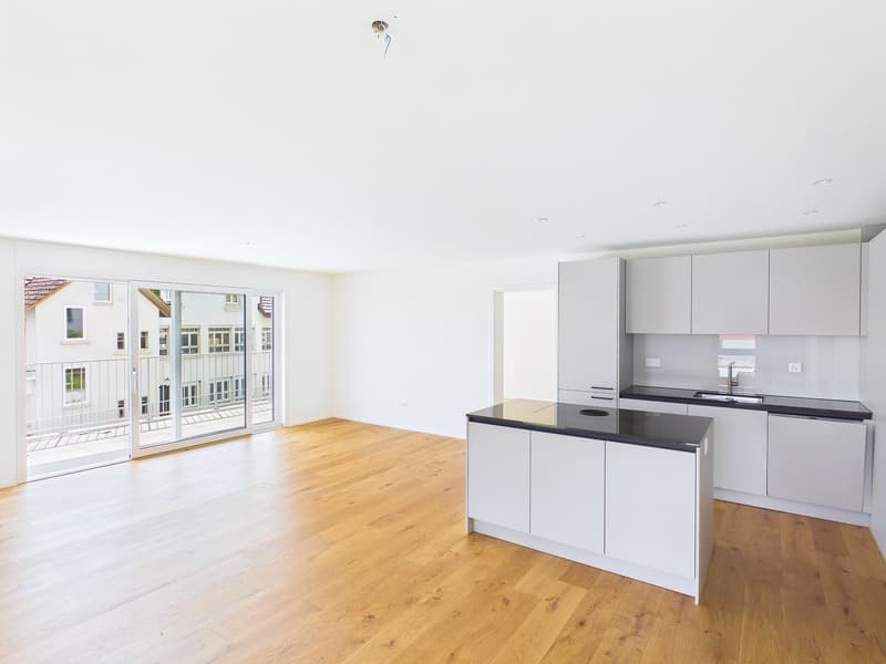 Neubauwohnung mit wunderbarer Aussicht (4)