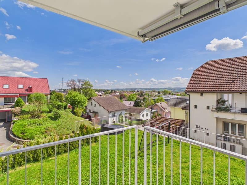 Neubauwohnung mit wunderbarer Aussicht (2)