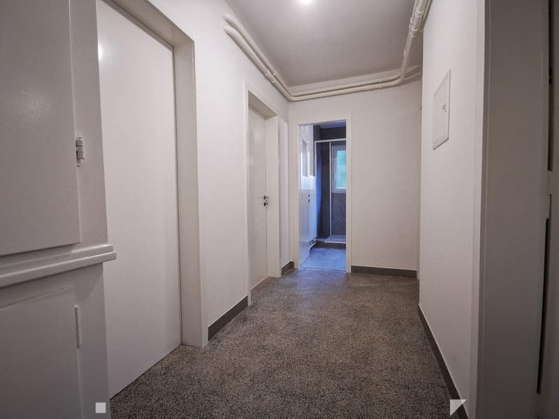 Helle 3-Zimmer-Wohnung mit Balkon an der General-Dufour-Strasse in Biel (6)