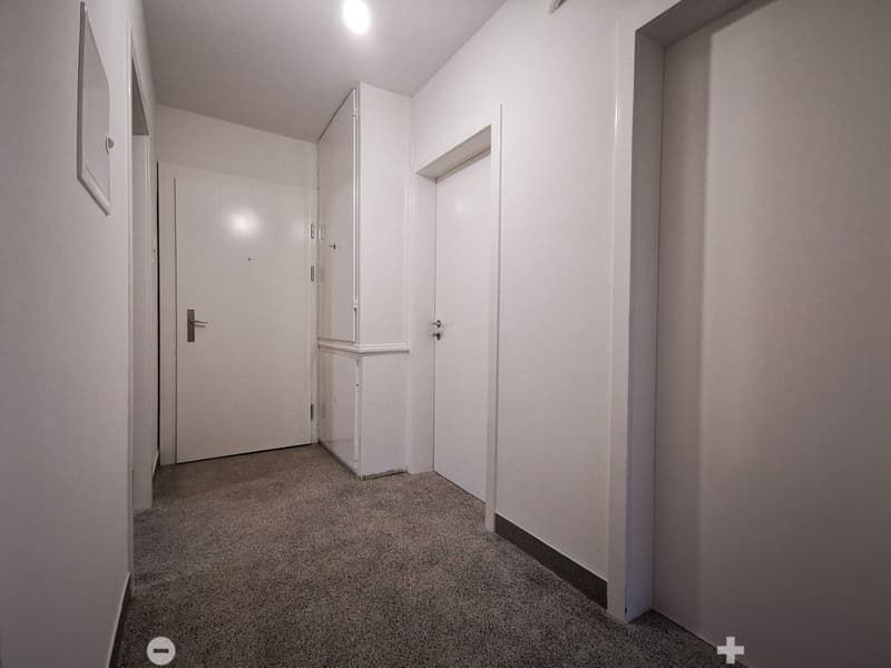 Helle 3-Zimmer-Wohnung mit Balkon an der General-Dufour-Strasse in Biel (5)