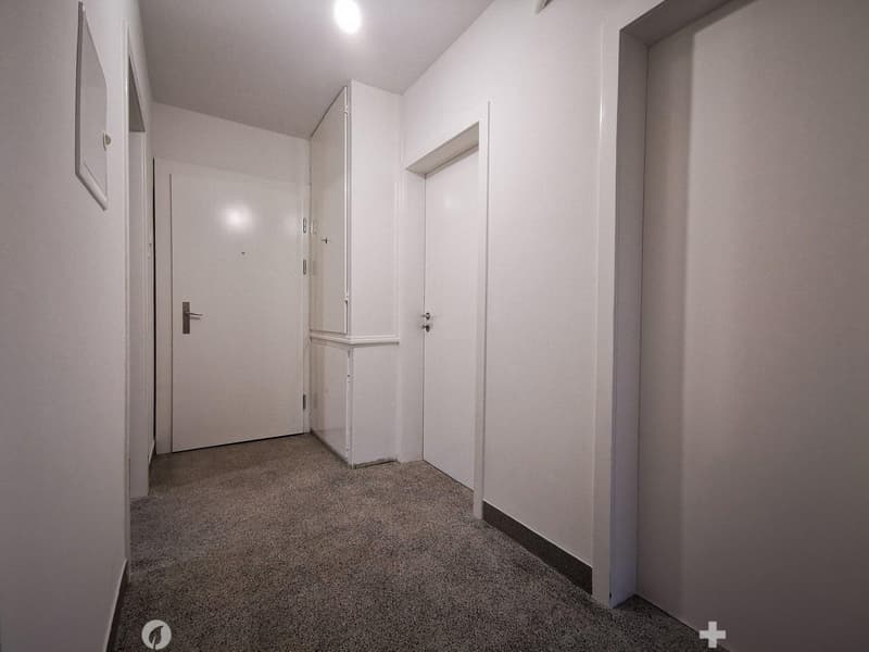Helle 3-Zimmer-Wohnung mit Balkon an der General-Dufour-Strasse in Biel (5)