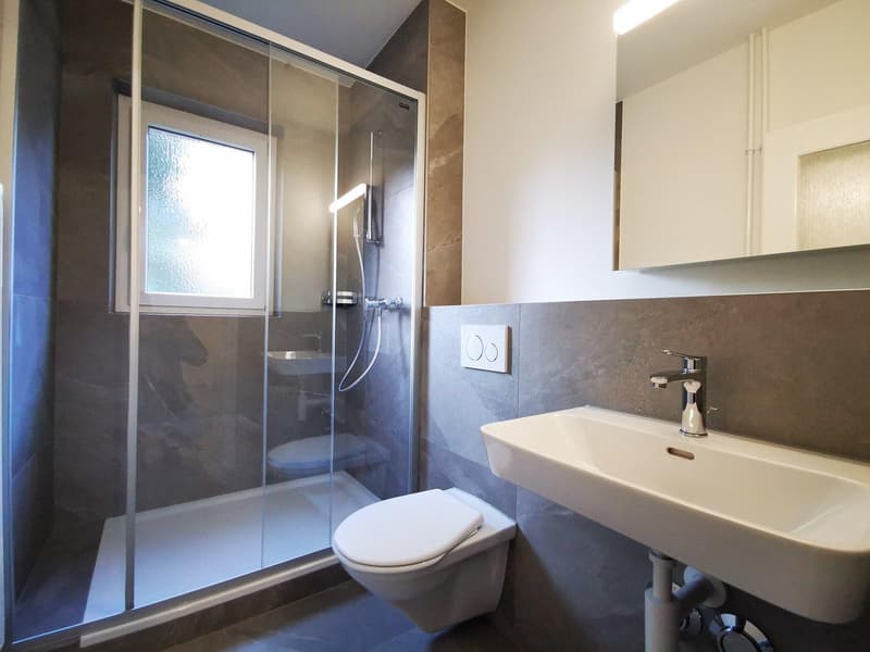 Helle 3-Zimmer-Wohnung mit Balkon an der General-Dufour-Strasse in Biel (13)