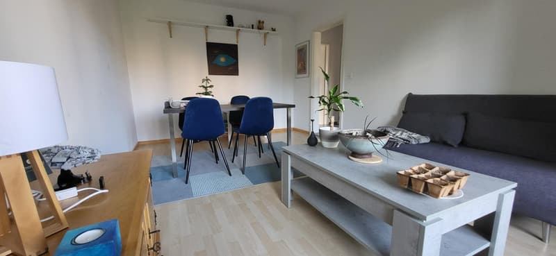 3-Zimmerwohnung mit Balkon, 1. OG rechts (9)