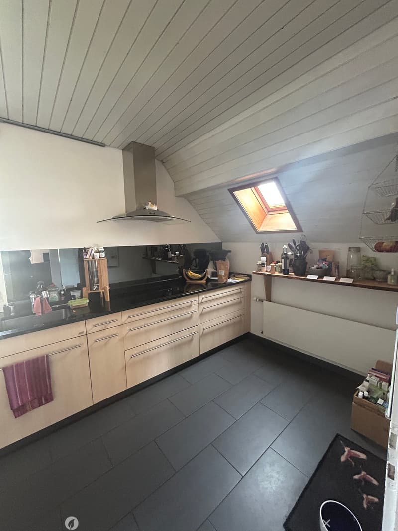Dupplexwohnung mit 32m2 Terrasse (6)