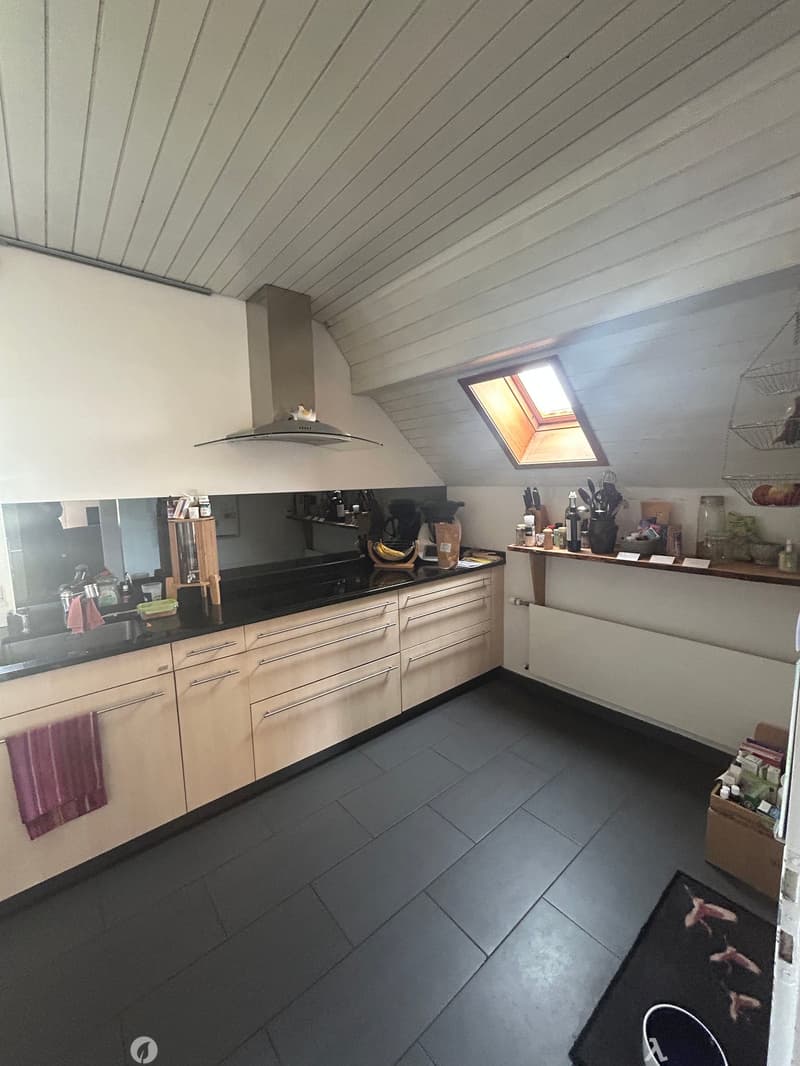 Dupplexwohnung mit 32m2 Terrasse (6)