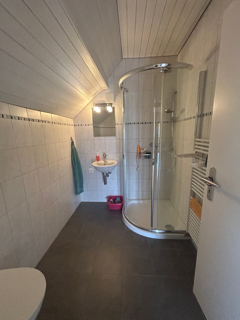 Dupplexwohnung mit 32m2 Terrasse (10)