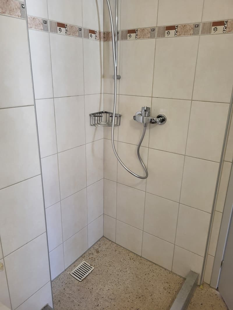 Außergewöhnliche 4.5-Zimmer-Wohnung mit diversen Balkone und Lift in Biel (9)