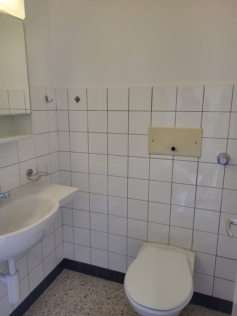Außergewöhnliche 4.5-Zimmer-Wohnung mit diversen Balkone und Lift in Biel (10)