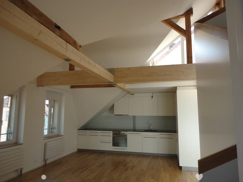 Moderne 3.5 Zimmer-Dachwohnung mit Galerie und Terrasse (1)