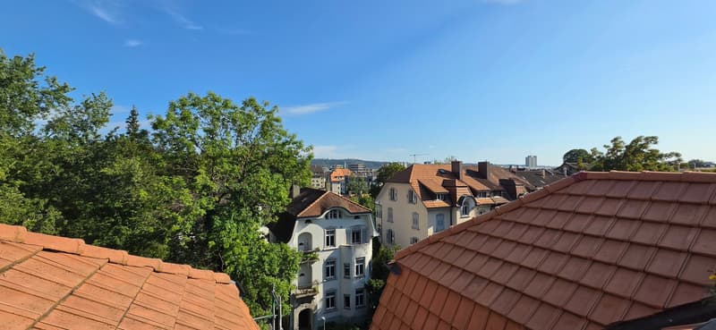 Moderne 3.5 Zimmer-Dachwohnung mit Galerie und Terrasse (26)