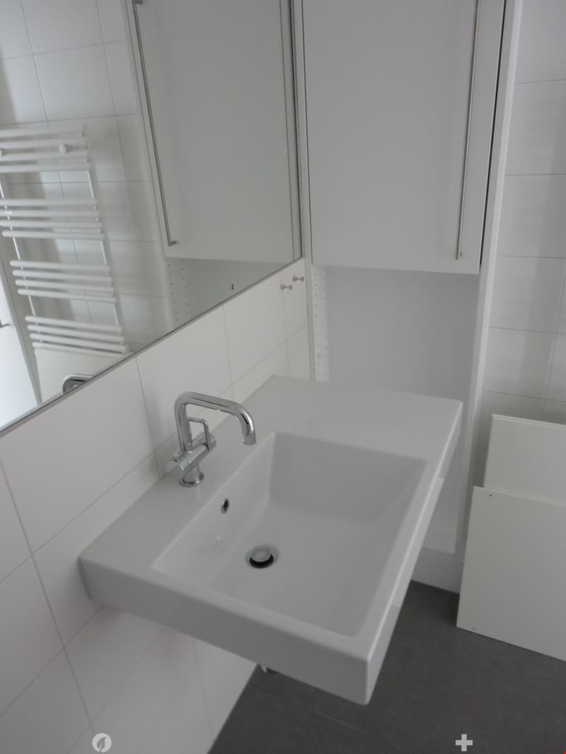 Moderne 3.5 Zimmer-Dachwohnung mit Galerie und Terrasse (5)