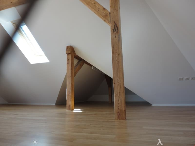 Moderne 3.5 Zimmer-Dachwohnung mit Galerie und Terrasse (4)