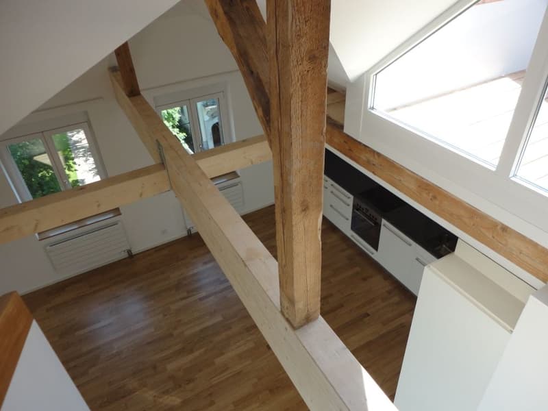 Moderne 3.5 Zimmer-Dachwohnung mit Galerie und Terrasse (13)