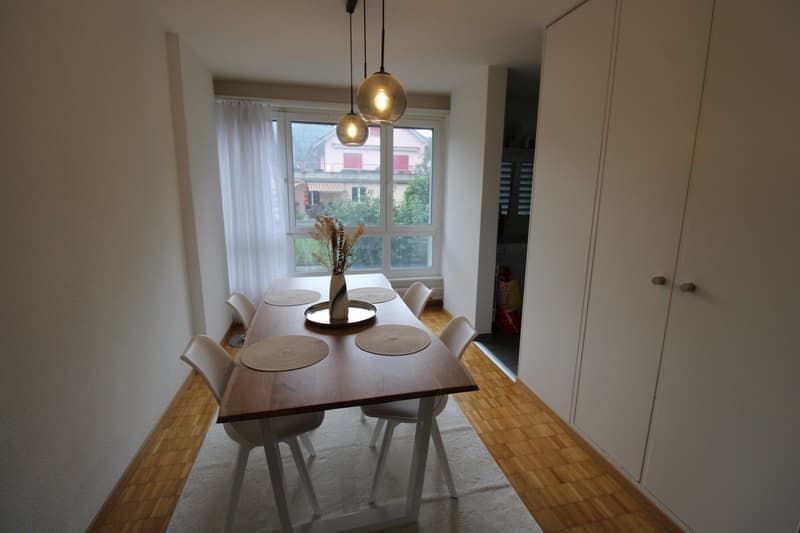 a dining table and chairs, hanging lamps, white rug, tall windows with white curtains, cupboards, view to a house outside
