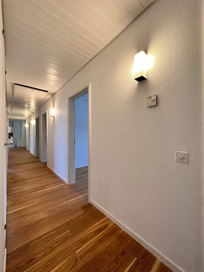 Charmante 7-Zimmer-Villa zur Miete in Büren an der Aare (10)