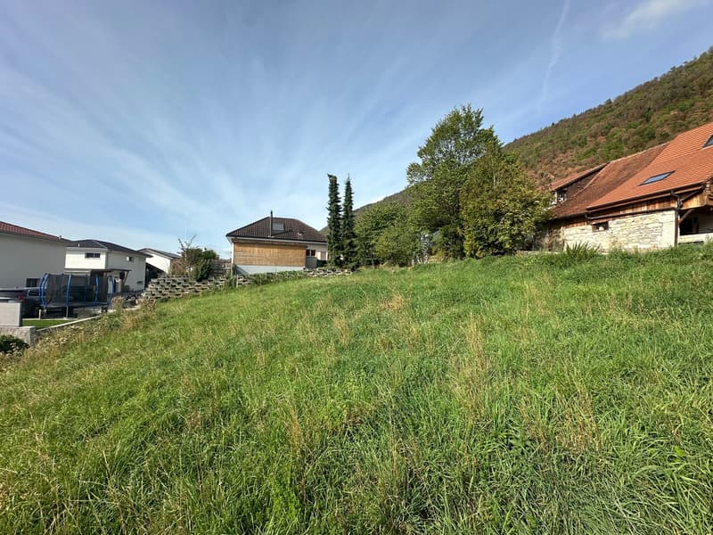 Attraktives Bauland in Pieterlen – 595 m² in ruhiger Wohnlage (17)