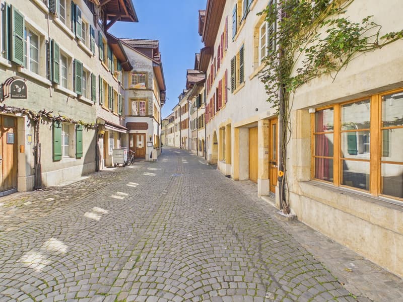 Historische Perle mit Einliegerwohnung (1)