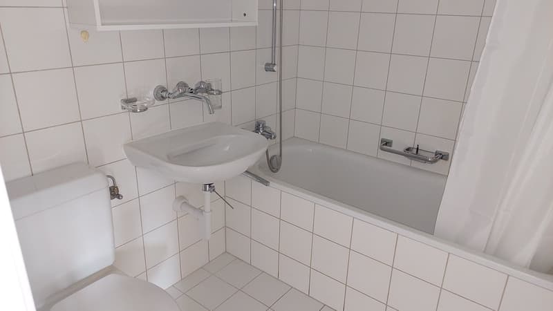 Modernes Studio mit neuer Küche (3)