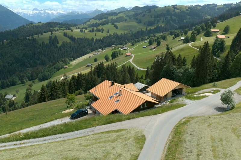 Chalet Bärgblick - Schwarzelenfang 694, Boltigen (2)