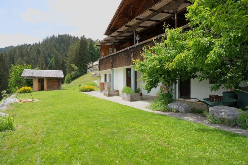 Chalet Bärgblick - Schwarzelenfang 694, Boltigen (16)