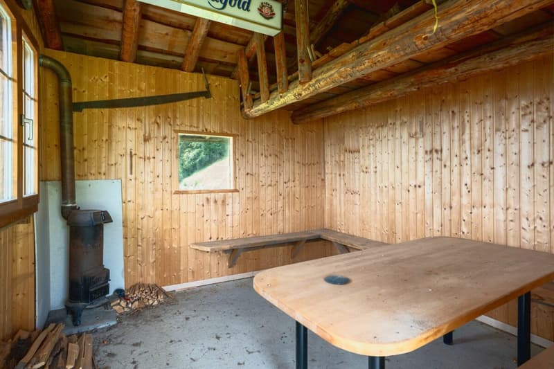 Chalet Bärgblick - Schwarzelenfang 694, Boltigen (18)
