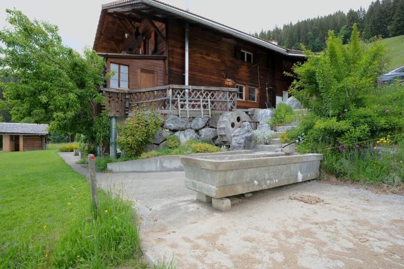 Chalet Bärgblick - Schwarzelenfang 694, Boltigen (3)