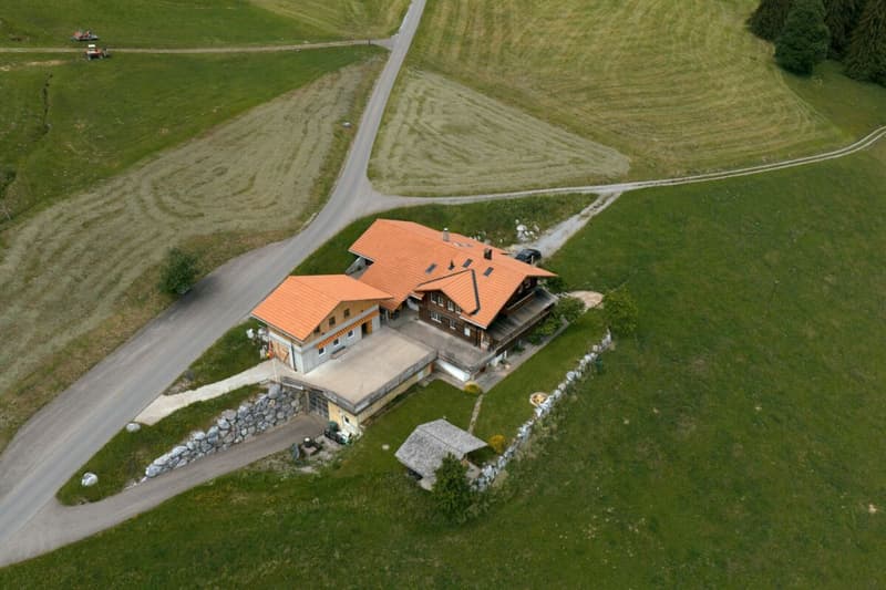 Chalet Bärgblick - Schwarzelenfang 694, Boltigen (25)