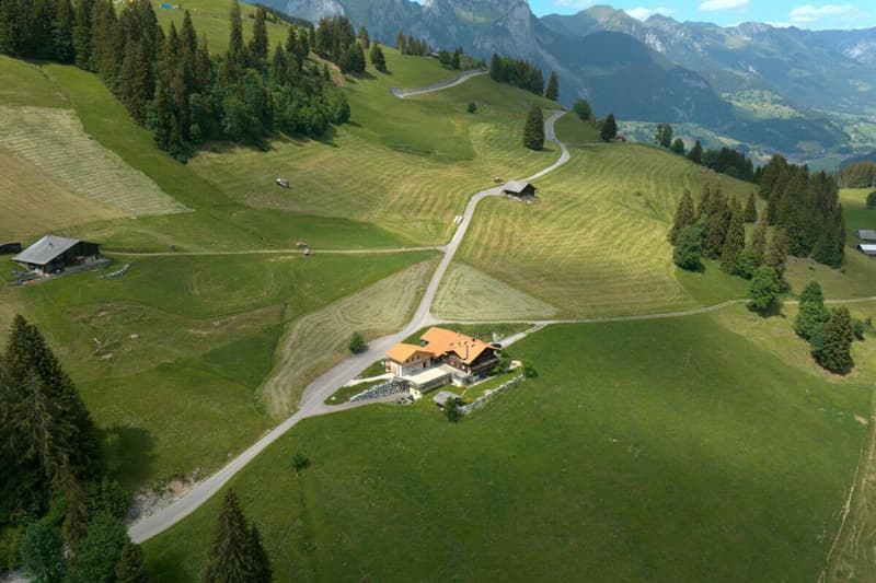 Chalet Bärgblick - Schwarzelenfang 694, Boltigen (26)