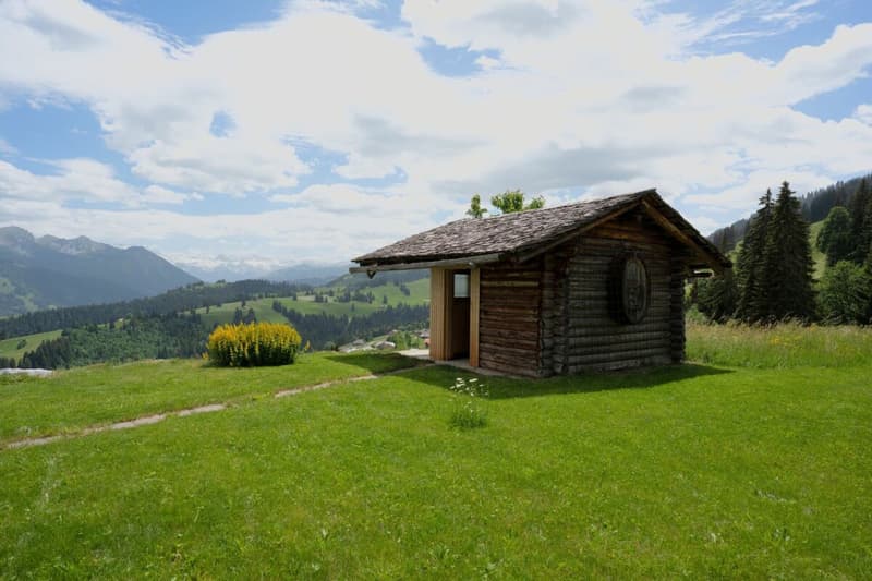 Chalet Bärgblick - Schwarzelenfang 694, Boltigen (17)