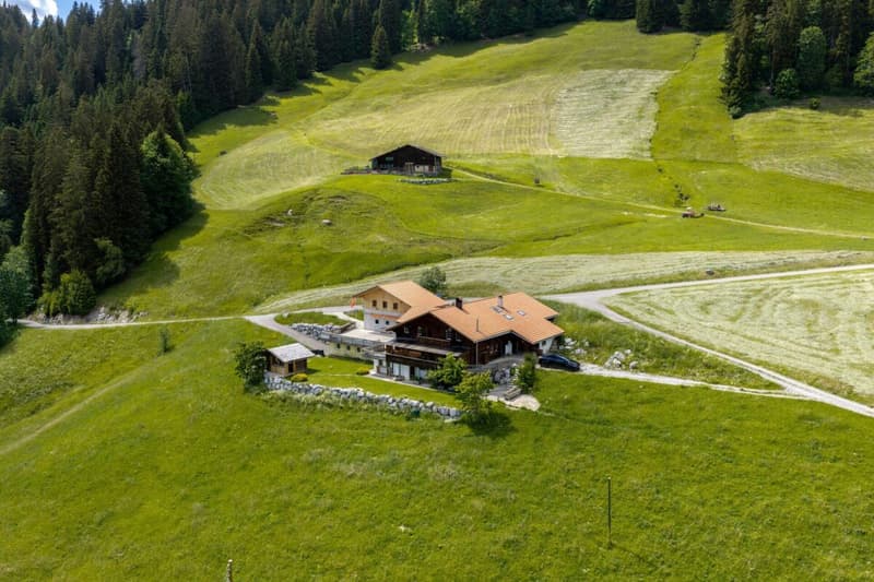 Chalet Bärgblick - Schwarzelenfang 694, Boltigen Kopie (2)