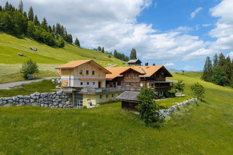 Chalet Bärgblick - Schwarzelenfang 694, Boltigen Kopie (27)
