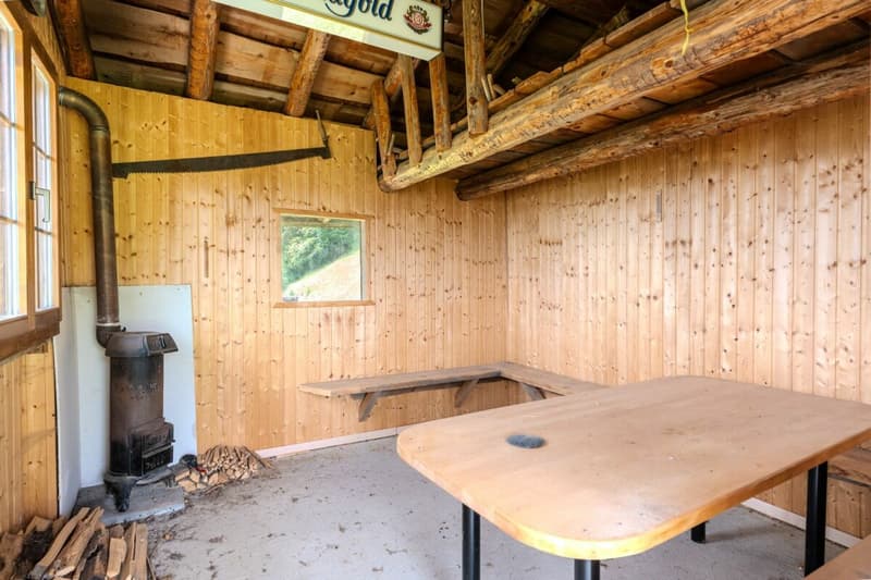 Chalet Bärgblick - Schwarzelenfang 694, Boltigen Kopie (19)