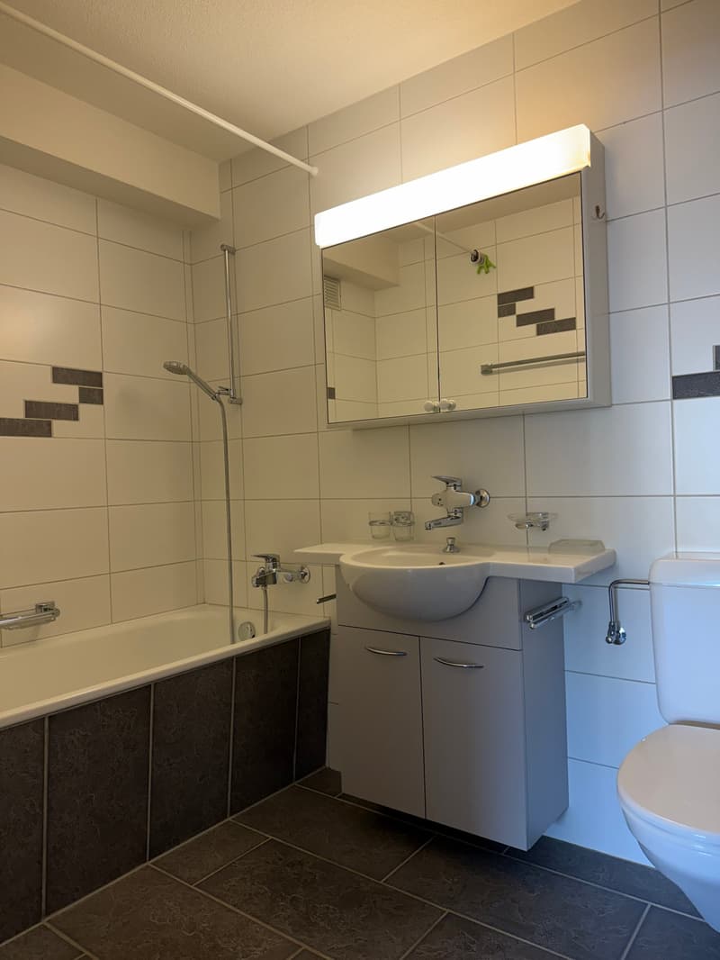3.5-Zimmer-Wohnung zum Kauf in Gerlafingen (6)
