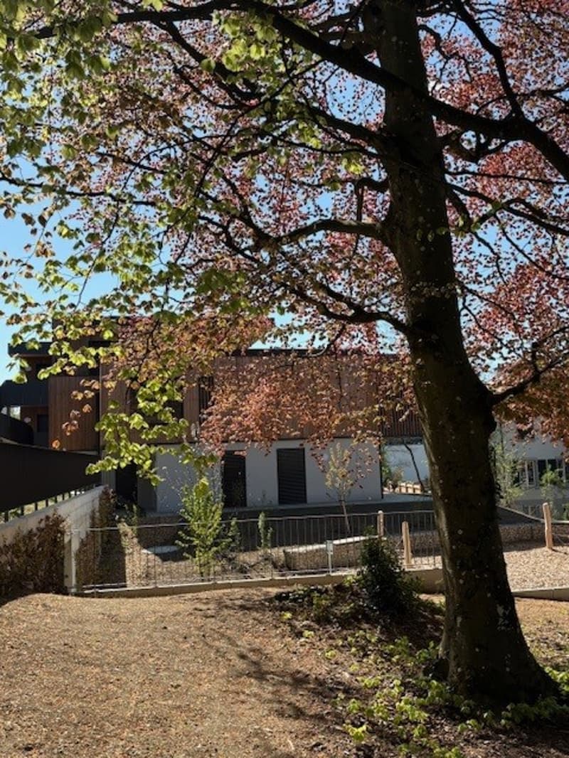 Maison jumelée avec grand disponible en sous-sol de 60 m2 (2)