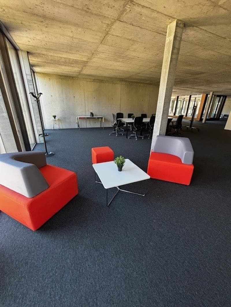 modern office with gray carpet, red and gray chairs, white table, small potted plant, large windows, tables and chairs in the background