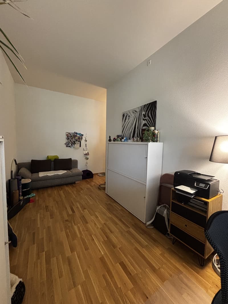 3½ ZI-WOHNUNG IN LIEBEFELD (BE), MÖBLIERT, TEMPORÄR (3)