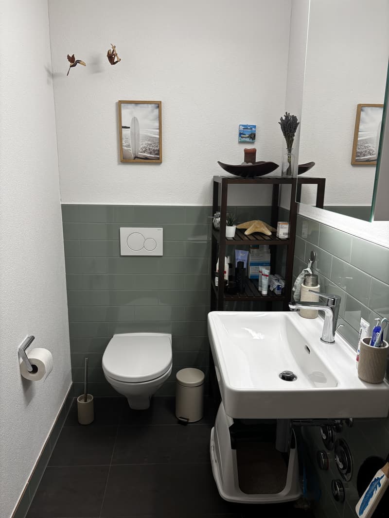 3½ ZI-WOHNUNG IN LIEBEFELD (BE), MÖBLIERT, TEMPORÄR (7)