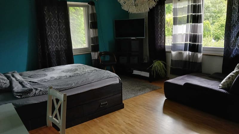 2½ ZI-WOHNUNG IN ST. GALLEN - ROSENBERG, MÖBLIERT, TEMPORÄR (3)