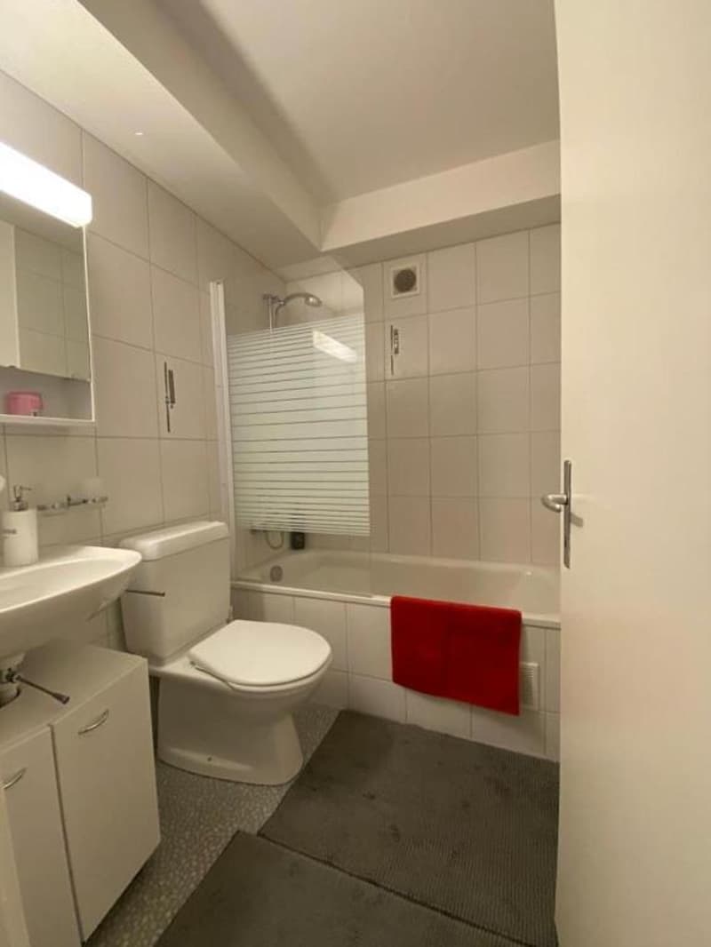 3½ ZI-WOHNUNG IN WYNAU (BE), MÖBLIERT, TEMPORÄR (9)