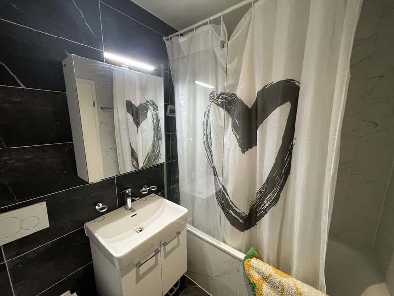 3½ ZI-WOHNUNG IN DELÉMONT (JU), MÖBLIERT, TEMPORÄR (10)
