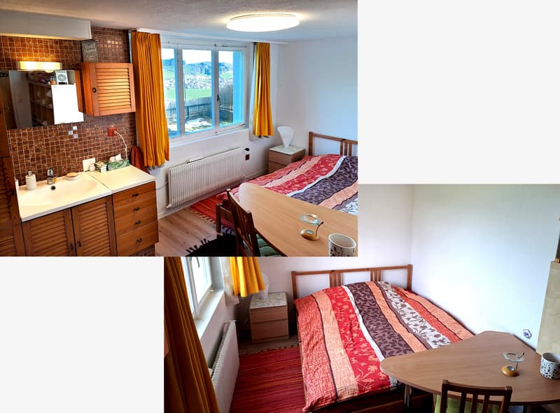 4½ ZIMMER-HAUS IN HEIDEN (AR), MÖBLIERT, TEMPORÄR (6)
