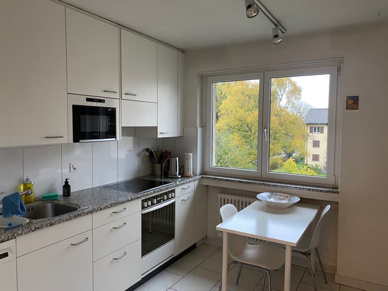 3 ZI-WOHNUNG IN ZÜRICH - KREIS 3, MÖBLIERT, TEMPORÄR (2)