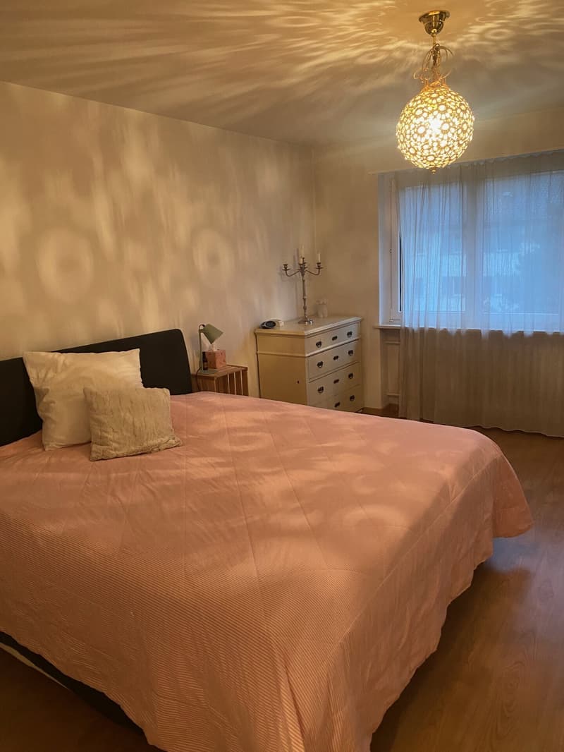 3 ZI-WOHNUNG IN ZÜRICH - KREIS 3, MÖBLIERT, TEMPORÄR (5)