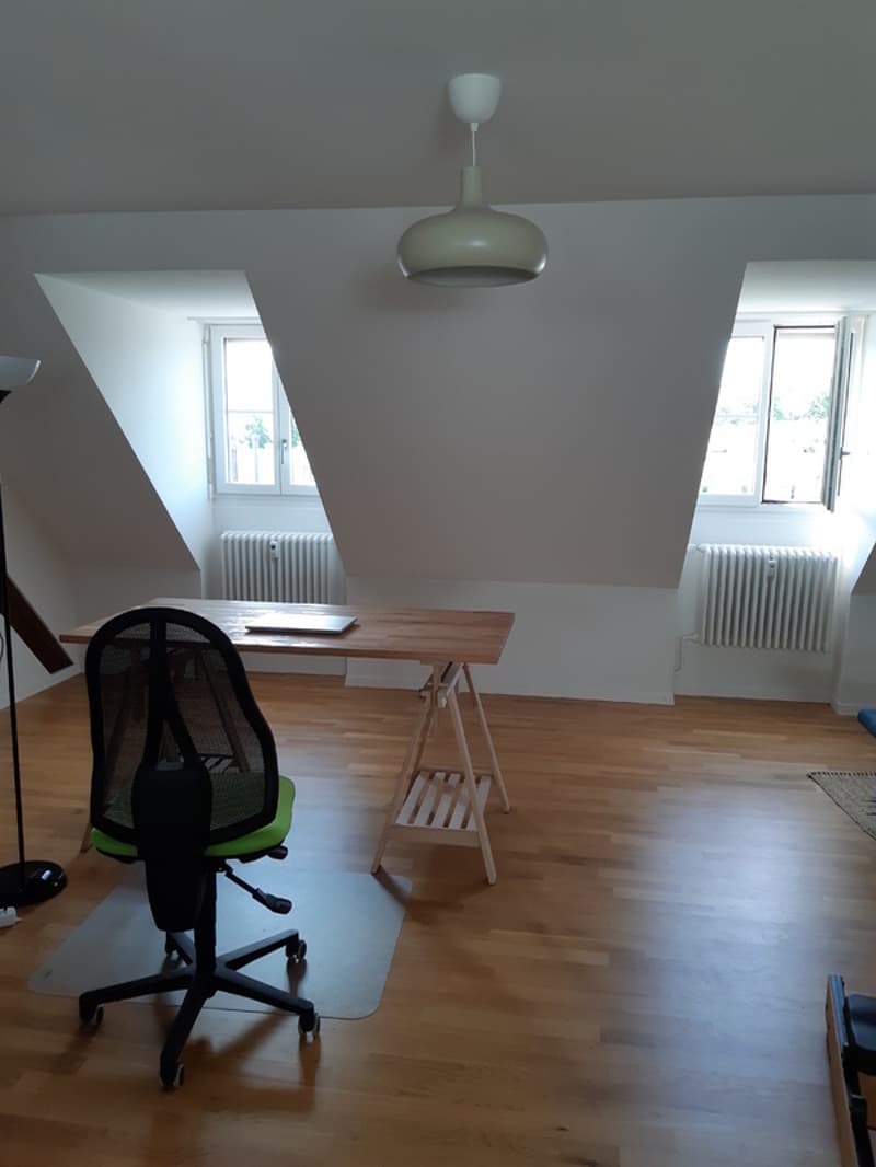 2½ ZI-WOHNUNG IN BERN - MATTENHOF, MÖBLIERT, TEMPORÄR (5)