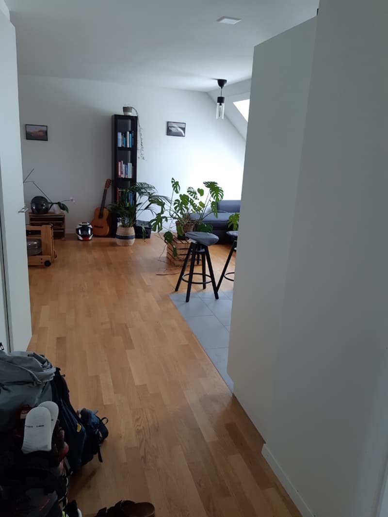 2½ ZI-WOHNUNG IN BERN - MATTENHOF, MÖBLIERT, TEMPORÄR (4)