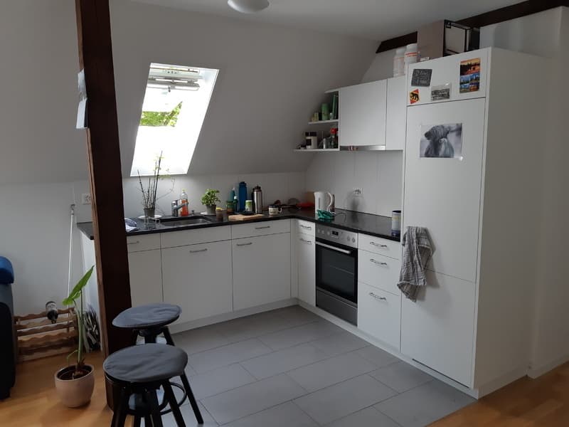 2½ ZI-WOHNUNG IN BERN - MATTENHOF, MÖBLIERT, TEMPORÄR (6)