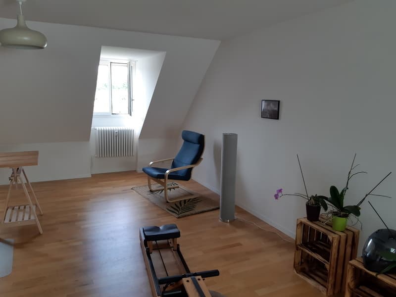 2½ ZI-WOHNUNG IN BERN - MATTENHOF, MÖBLIERT, TEMPORÄR (2)