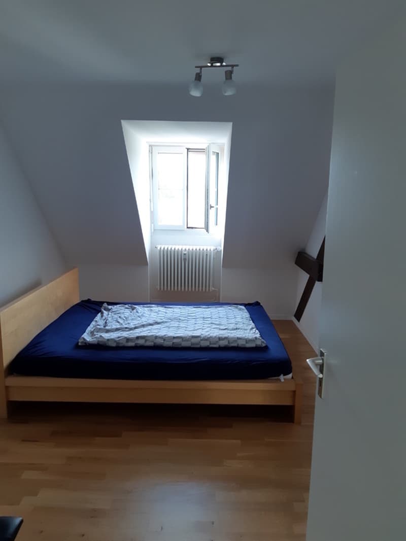 2½ ZI-WOHNUNG IN BERN - MATTENHOF, MÖBLIERT, TEMPORÄR (3)